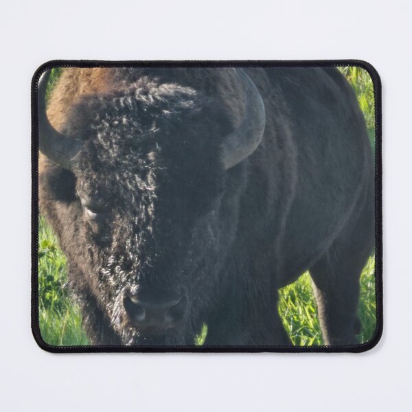 Item preview, Close Up Bison designed and sold by 3DAF.