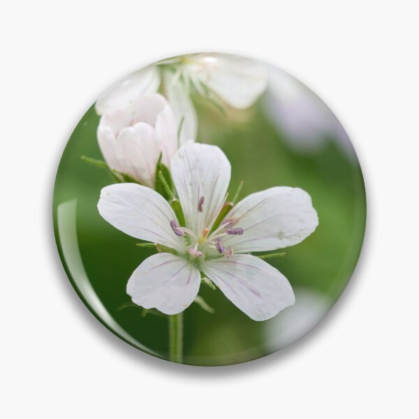 Item preview, The  White One. Wood cranesbill designed and sold by Jouko Lehto Photography.