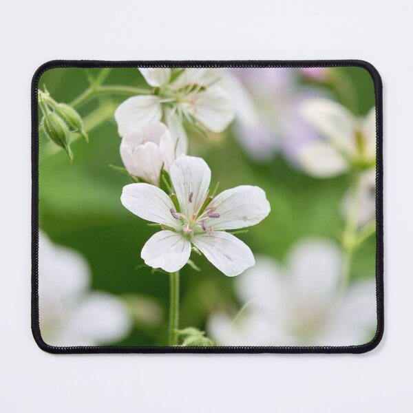 Item preview, The  White One. Wood cranesbill designed and sold by Jouko Lehto Photography.