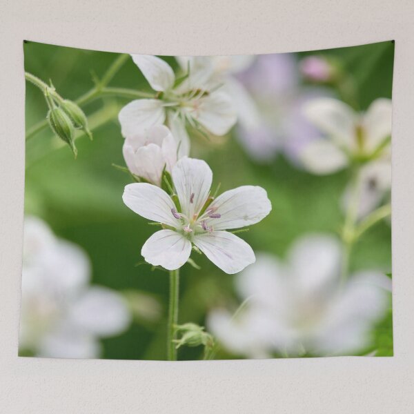 Item preview, The  White One. Wood cranesbill designed and sold by Jouko Lehto Photography.