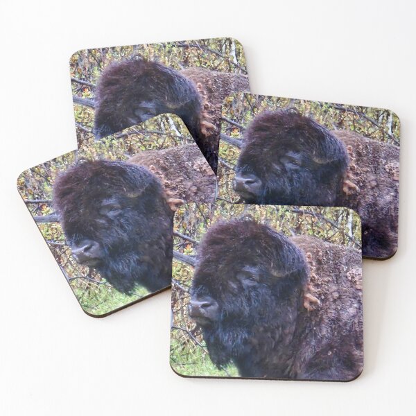 Item preview, Carl Bison Resting  designed and sold by 3DAF.