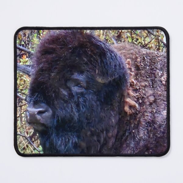 Item preview, Carl Bison Resting designed and sold by 3DAF.