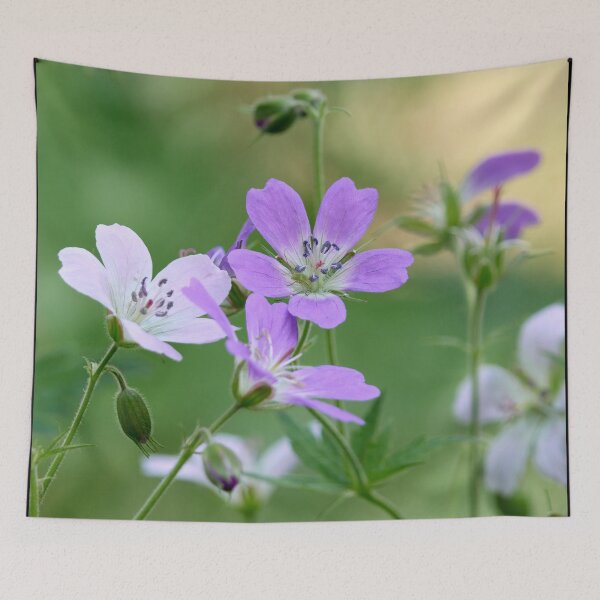 Item preview, Who is there. Wood cranesbill designed and sold by Jouko Lehto Photography.