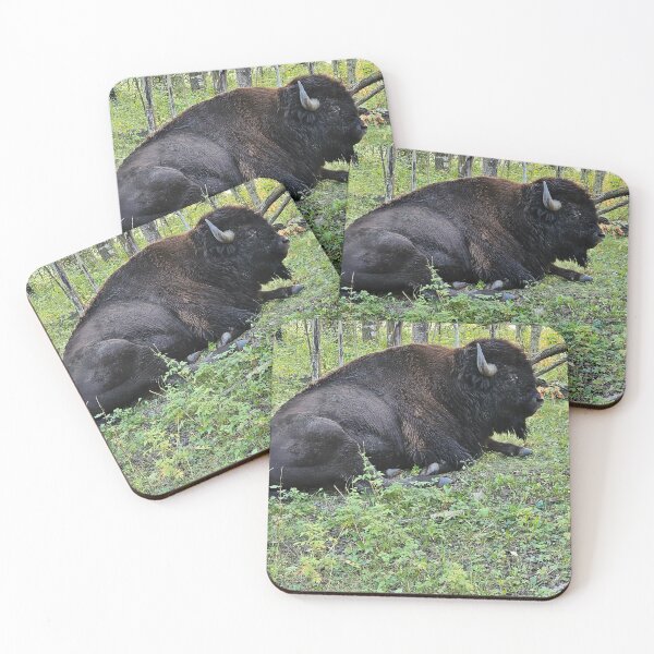 Item preview, Bison Resting in the Grass designed and sold by 3DAF.