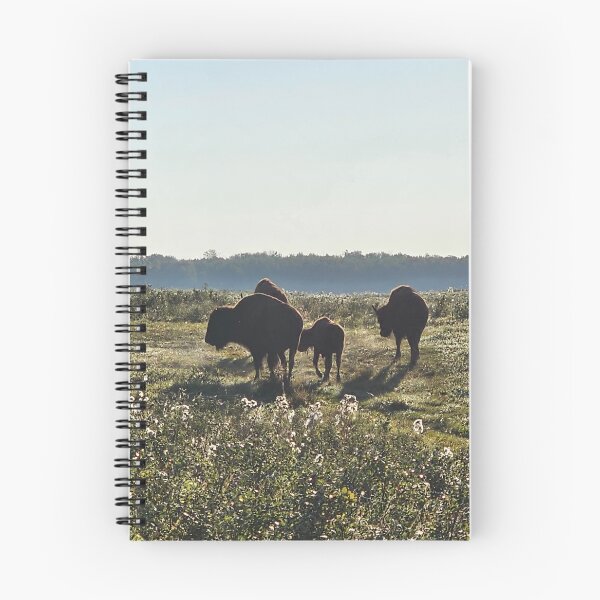 Item preview, The Great Plains designed and sold by 3DAF.