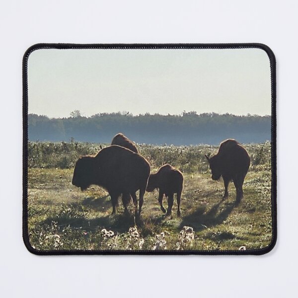 Item preview, The Great Plains designed and sold by 3DAF.