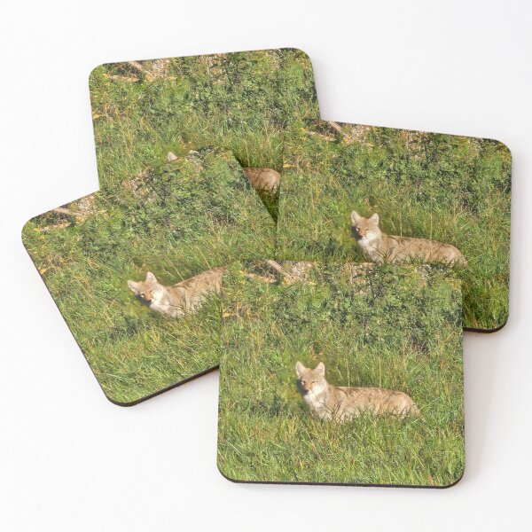 Item preview, Wild Coyote designed and sold by 3DAF.