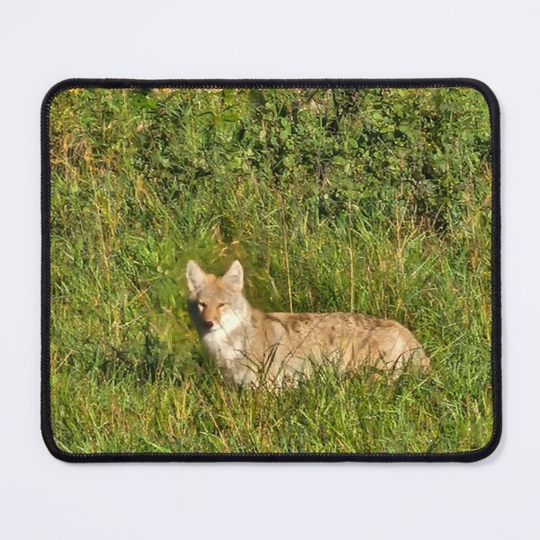 Item preview, Wild Coyote designed and sold by 3DAF.