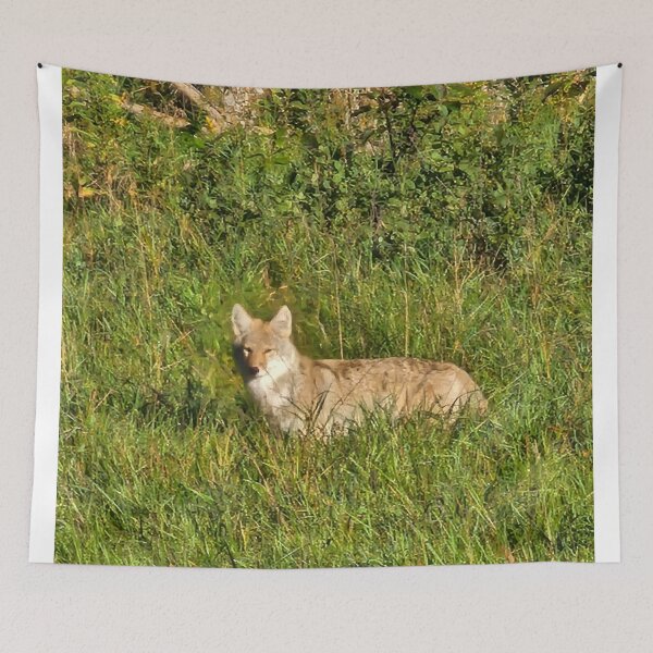 Item preview, Wild Coyote designed and sold by 3DAF.