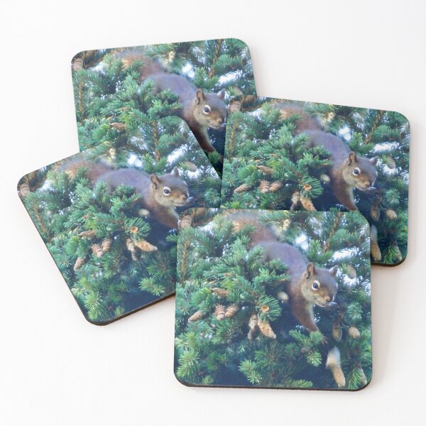 Item preview, Sassy Squirrel designed and sold by 3DAF.