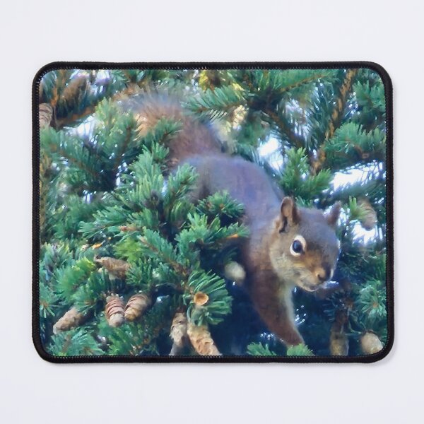 Item preview, Sassy Squirrel designed and sold by 3DAF.