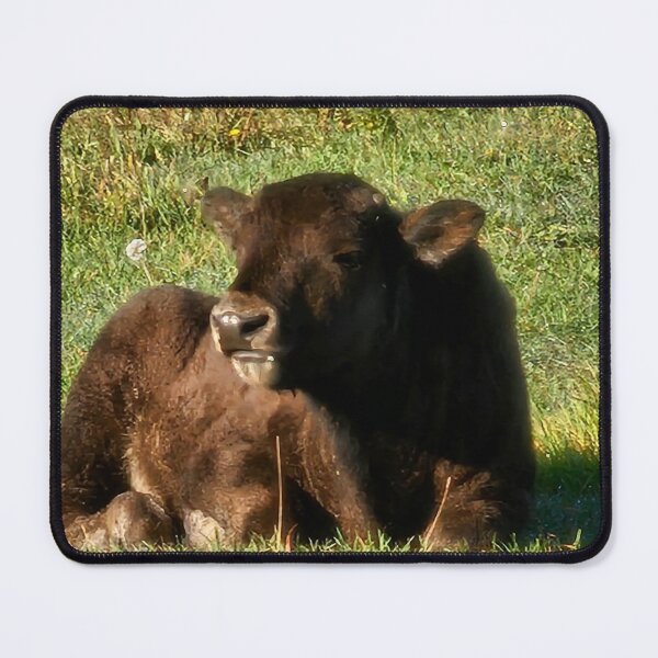Item preview, Plains Bison Calf In the Sun designed and sold by 3DAF.