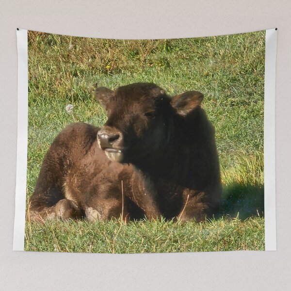 Item preview, Plains Bison Calf In the Sun designed and sold by 3DAF.