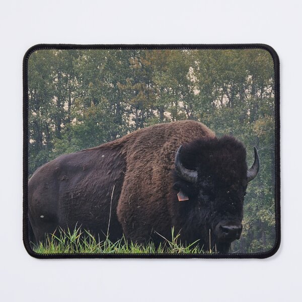 Item preview, Plains Bison before the Storm designed and sold by 3DAF.