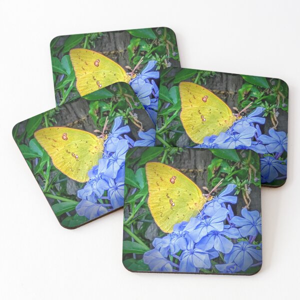 Item preview, Yellow Butterfly on Blue Plumbago Flowers designed and sold by Missy69.
