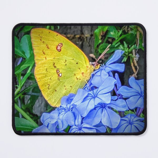 Item preview, Yellow Butterfly on Blue Plumbago Flowers designed and sold by Missy69.