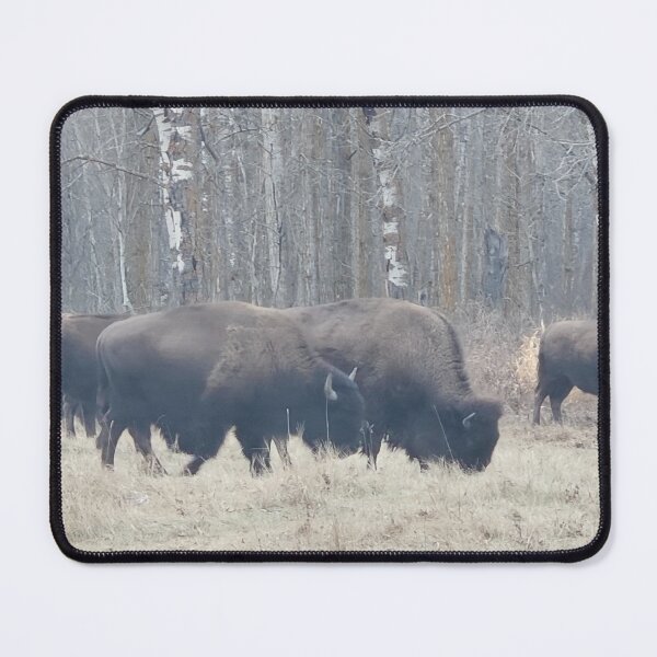 Item preview, Fall Plains Bison designed and sold by 3DAF.