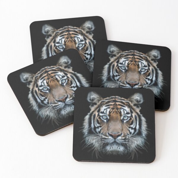 Item preview, Tiger Sees its Prey designed and sold by SkyBridgePRJ.