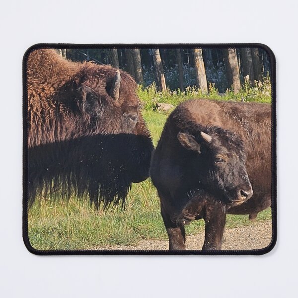 Item preview, Cow and Calf designed and sold by 3DAF.