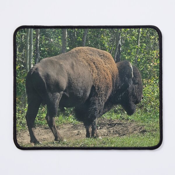 Item preview, Free Roaming Bison designed and sold by 3DAF.