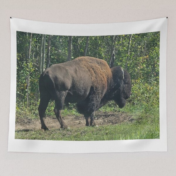 Item preview, Free Roaming Bison designed and sold by 3DAF.