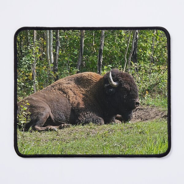 Item preview, Comfy Bison designed and sold by 3DAF.