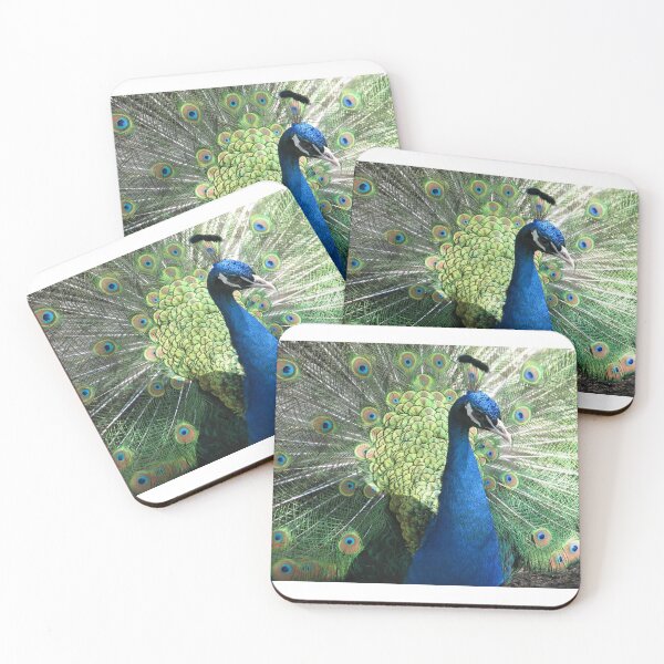 Item preview, Peacock designed and sold by Beth Tidd.