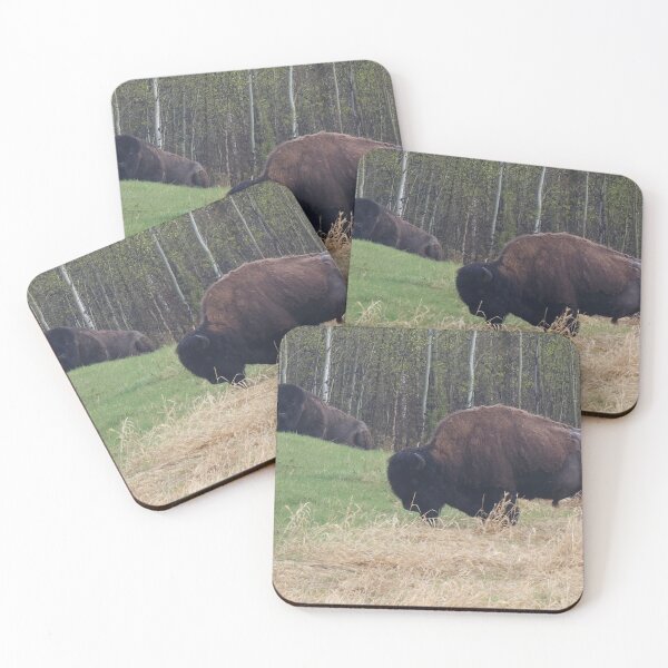 Item preview, Pair of Bison designed and sold by 3DAF.