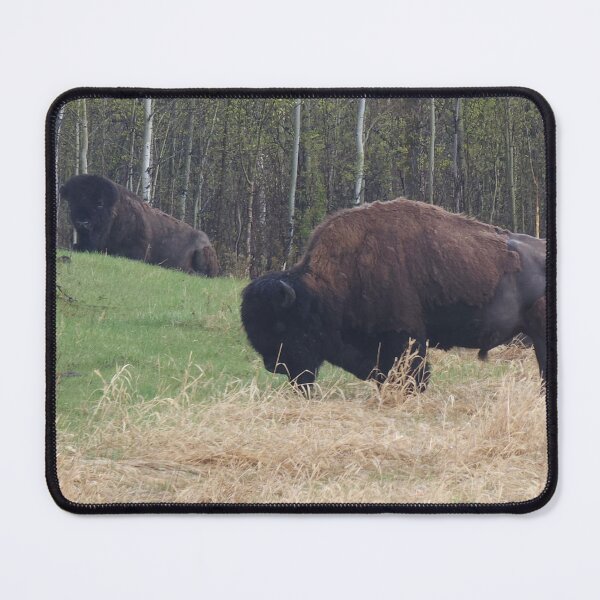 Item preview, Pair of Bison designed and sold by 3DAF.