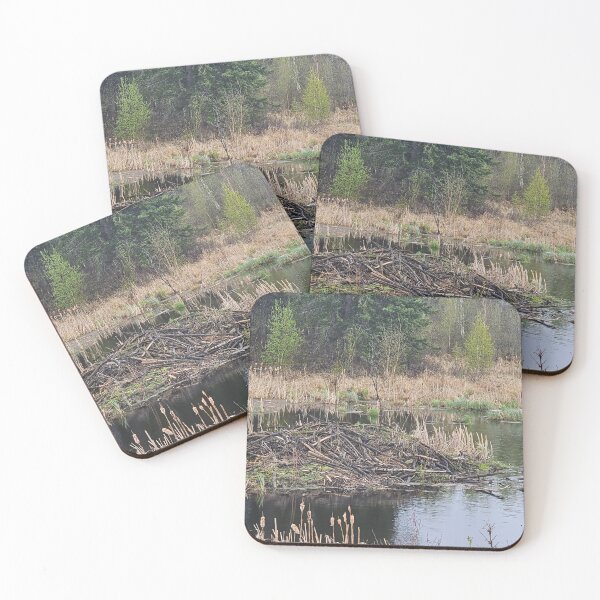 Item preview, Beaver Dam designed and sold by 3DAF.