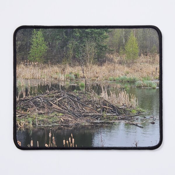 Item preview, Beaver Dam designed and sold by 3DAF.