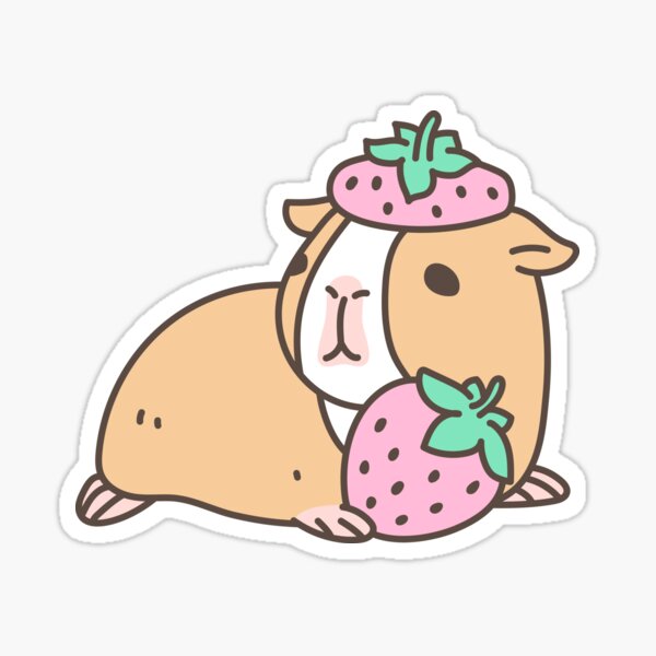 Pink Guinea Pig and Strawberry Pattern  Sticker