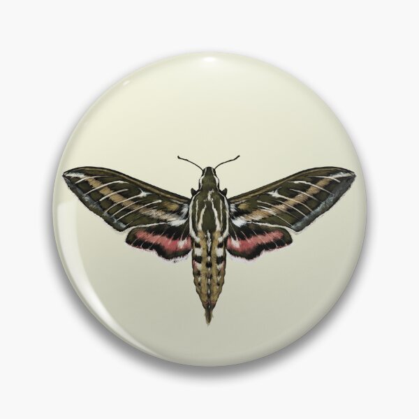 Item preview, Hyles livornica designed and sold by Alan Smith-Daigle.