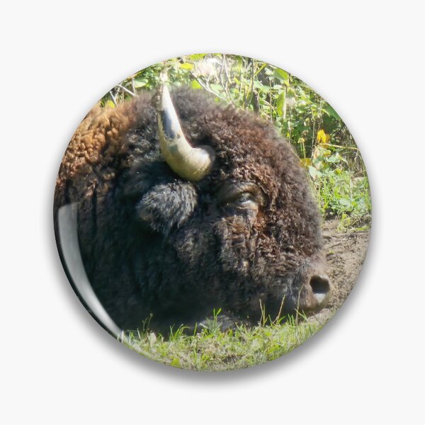 Item preview, Nap Time Bison designed and sold by 3DAF.