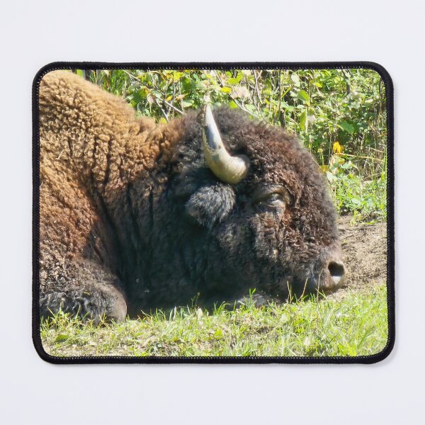 Item preview, Nap Time Bison designed and sold by 3DAF.