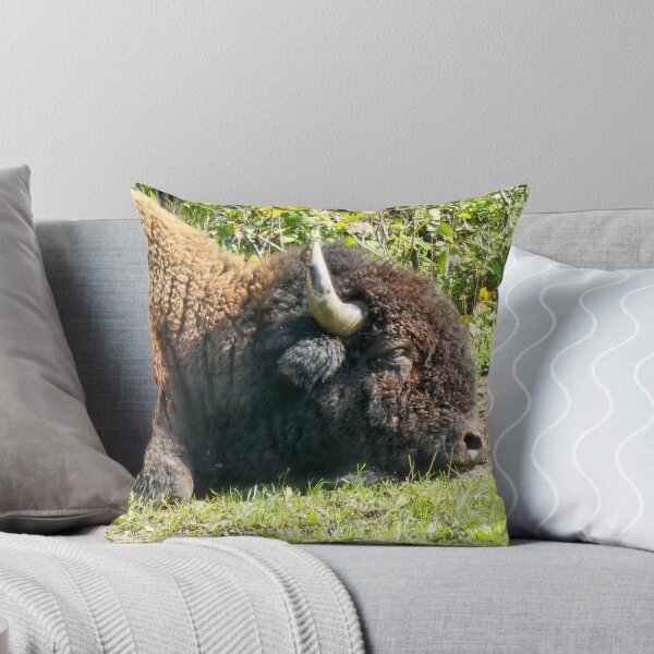Item preview, Nap Time Bison designed and sold by 3DAF.