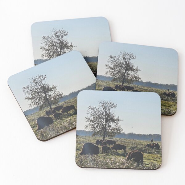 Item preview, Wild Bison on the Plains designed and sold by 3DAF.