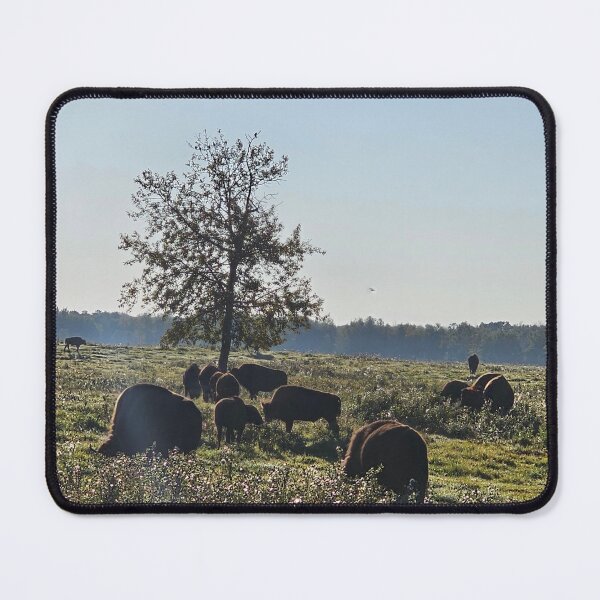 Item preview, Wild Bison on the Plains designed and sold by 3DAF.