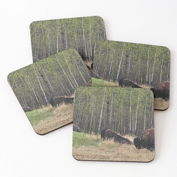 Item preview, Trio of Bison designed and sold by 3DAF.