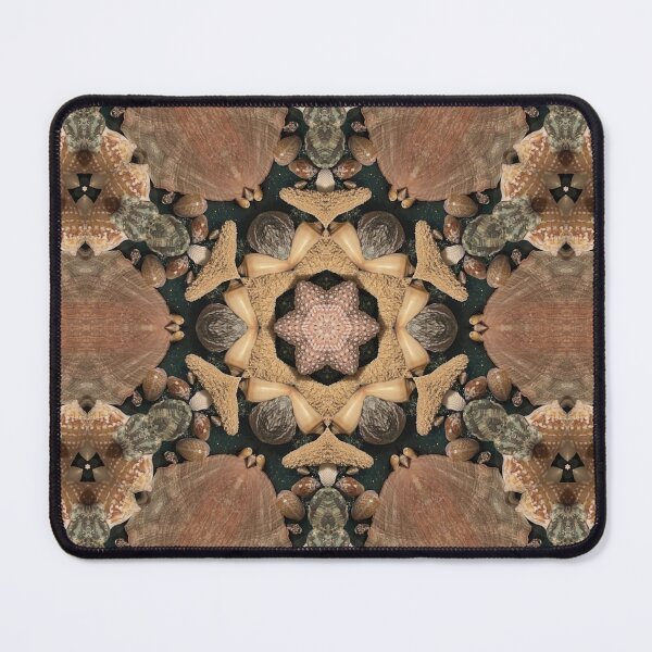 Item preview, Seashells designed and sold by Betsy Phillips.