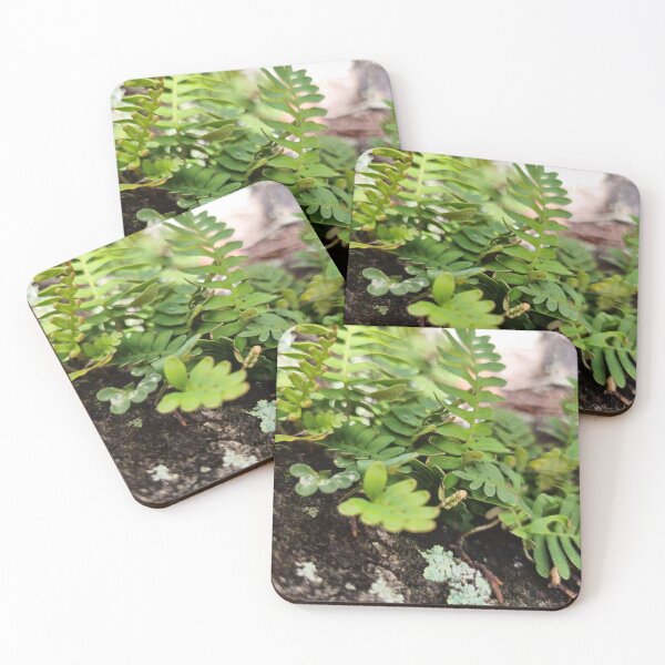 Item preview, Resurrection Fern designed and sold by Aqualyn.