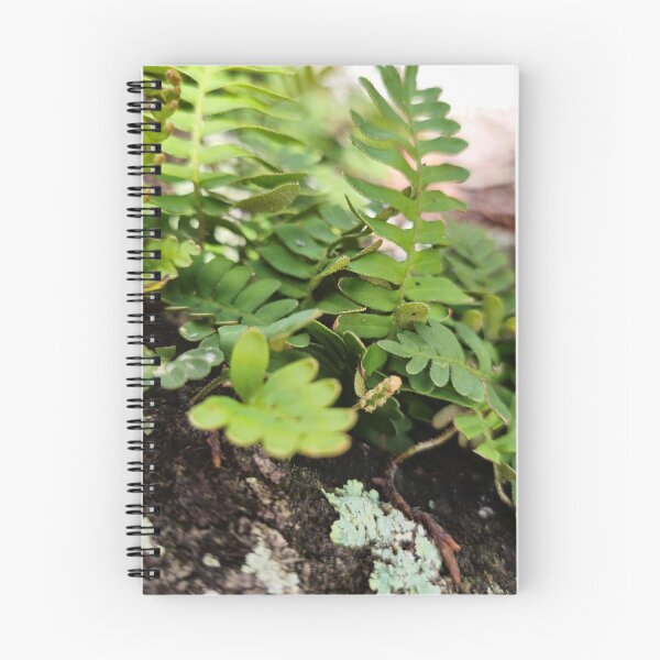 Item preview, Resurrection Fern designed and sold by Aqualyn.