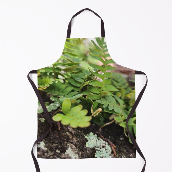 Item preview, Resurrection Fern designed and sold by Aqualyn.