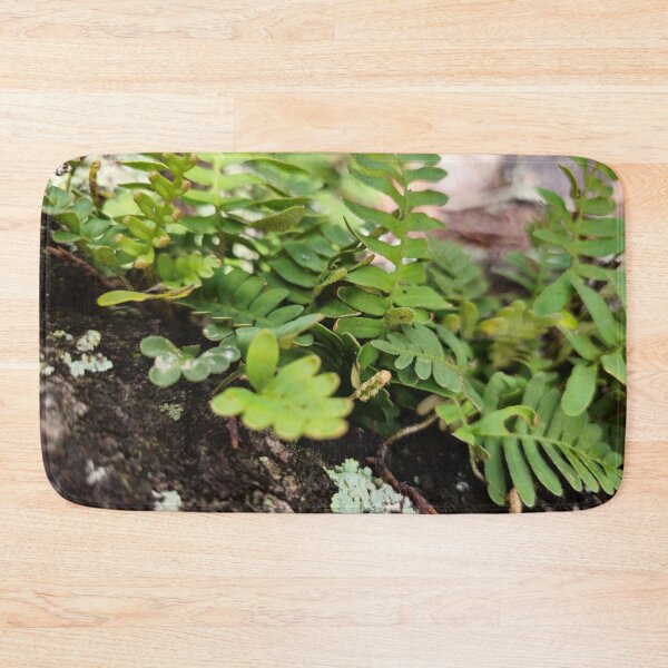 Item preview, Resurrection Fern designed and sold by Aqualyn.