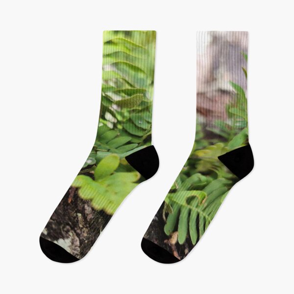 Item preview, Resurrection Fern designed and sold by Aqualyn.