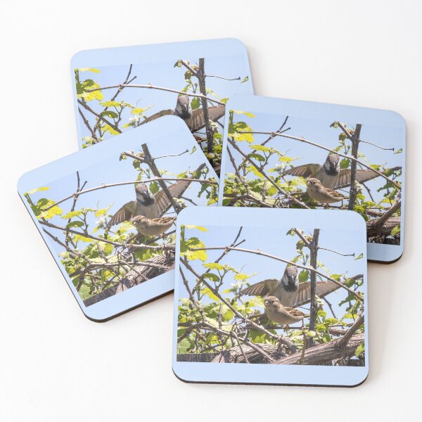 Item preview, Parent House Sparrow Protecting Its Fledgling designed and sold by CarolM.