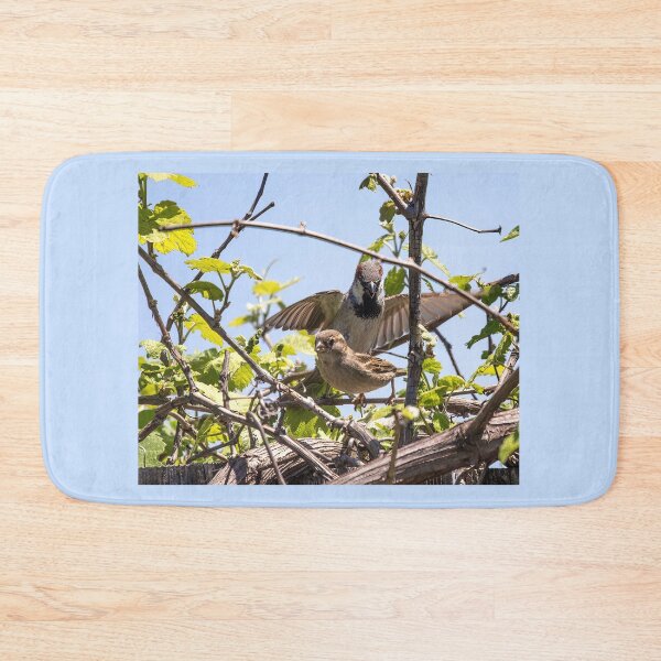 Item preview, Parent House Sparrow Protecting Its Fledgling designed and sold by CarolM.
