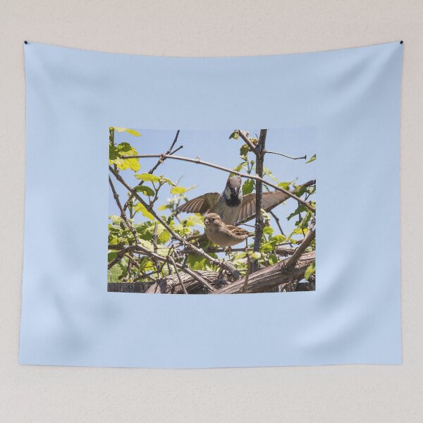 Item preview, Parent House Sparrow Protecting Its Fledgling designed and sold by CarolM.