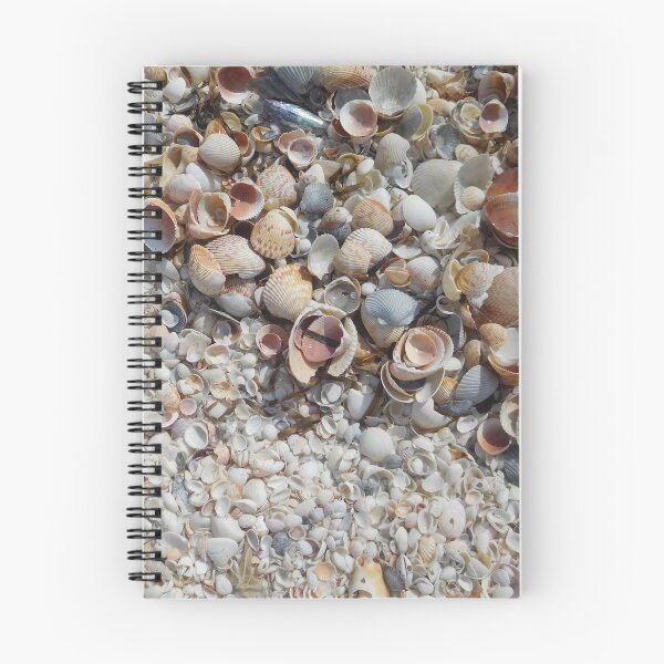 Item preview, Beach Seashells designed and sold by BeWitchingMom.