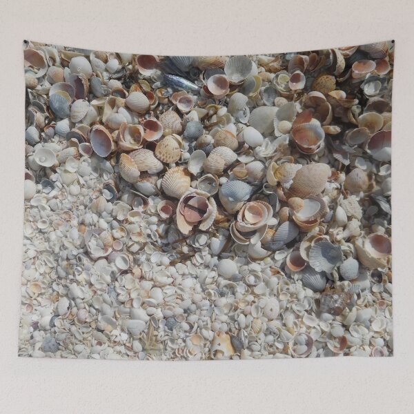 Item preview, Beach Seashells designed and sold by BeWitchingMom.